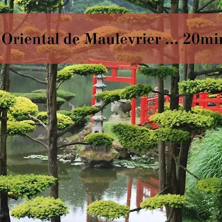 Appartement Dans Colocation Centre Atacames