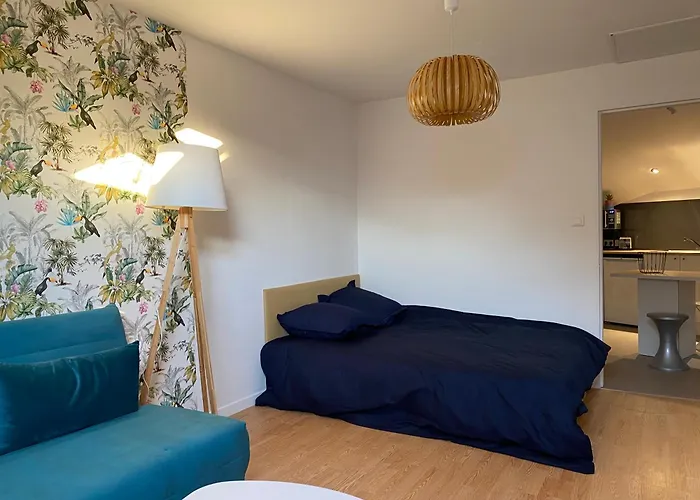 Dans Colocation Centre * 绍莱