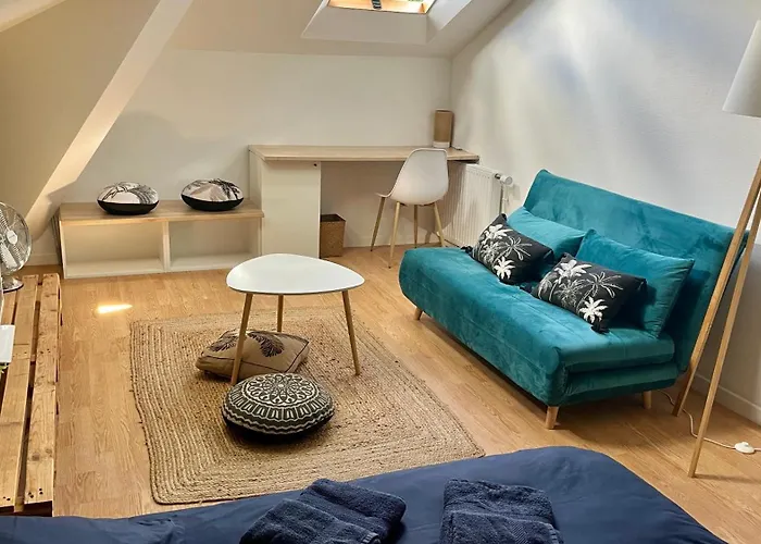 Dans Colocation Centre 公寓 绍莱